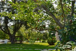 Grounds at Heritage Treatment Foundation, a drug and alcohol rehab near Montreal