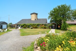 cocaine addiction treated in a tranquil farm rehab in quebec